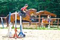 Кубок ставропольского парка Победы по конному спорту